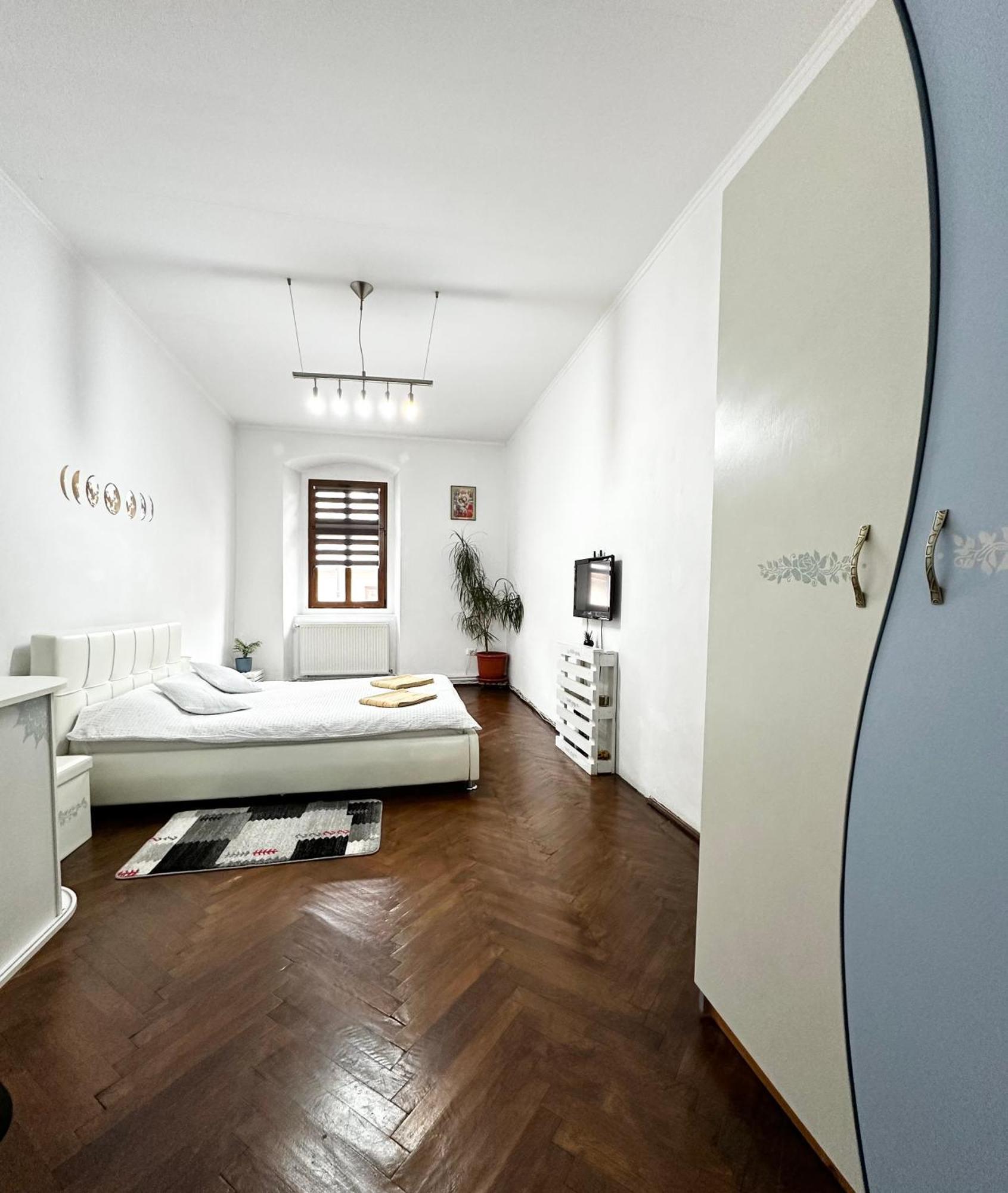 Studio Apartament Alex