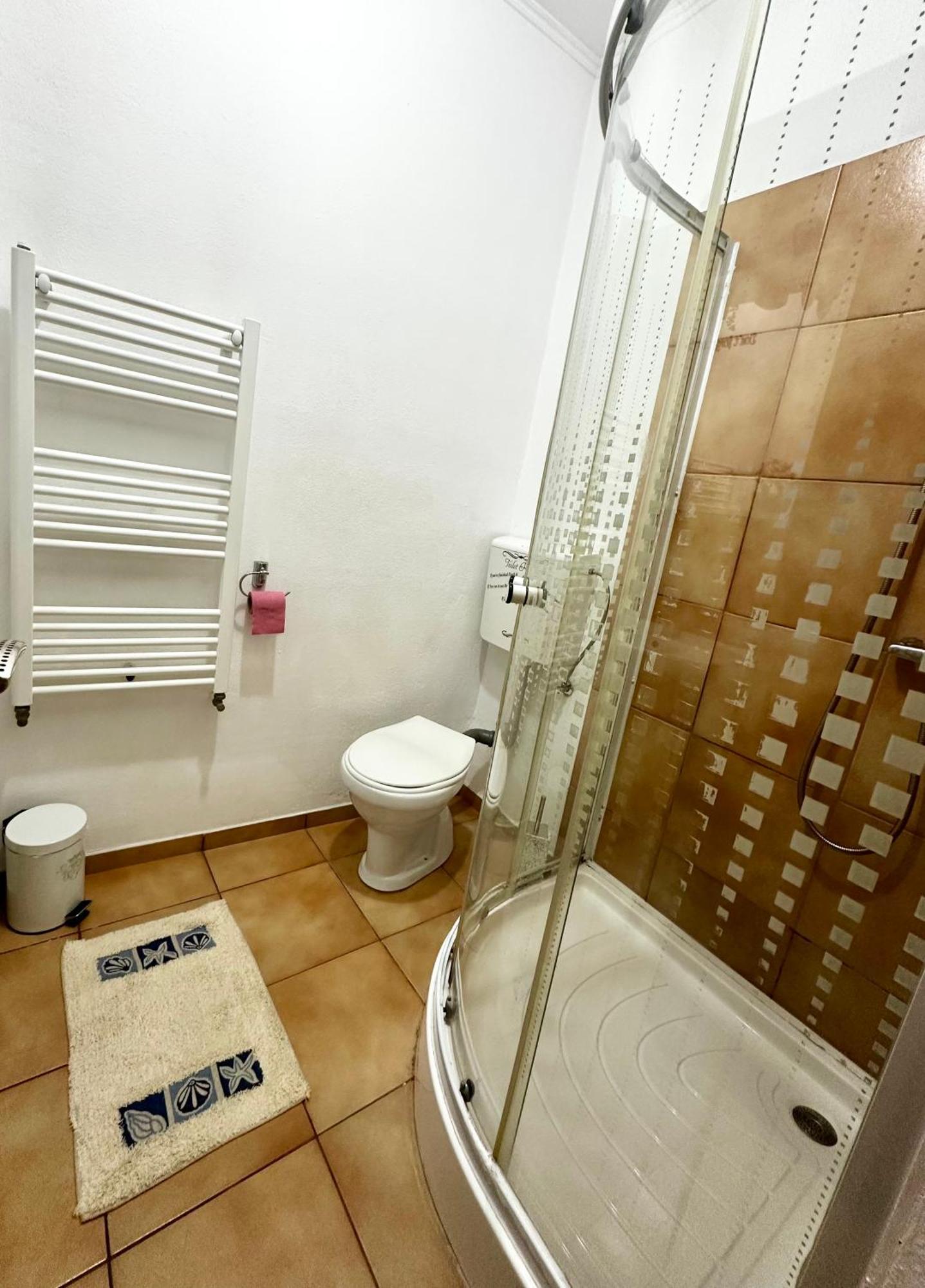 Apartment Studio Apartament Alex Hermannstadt