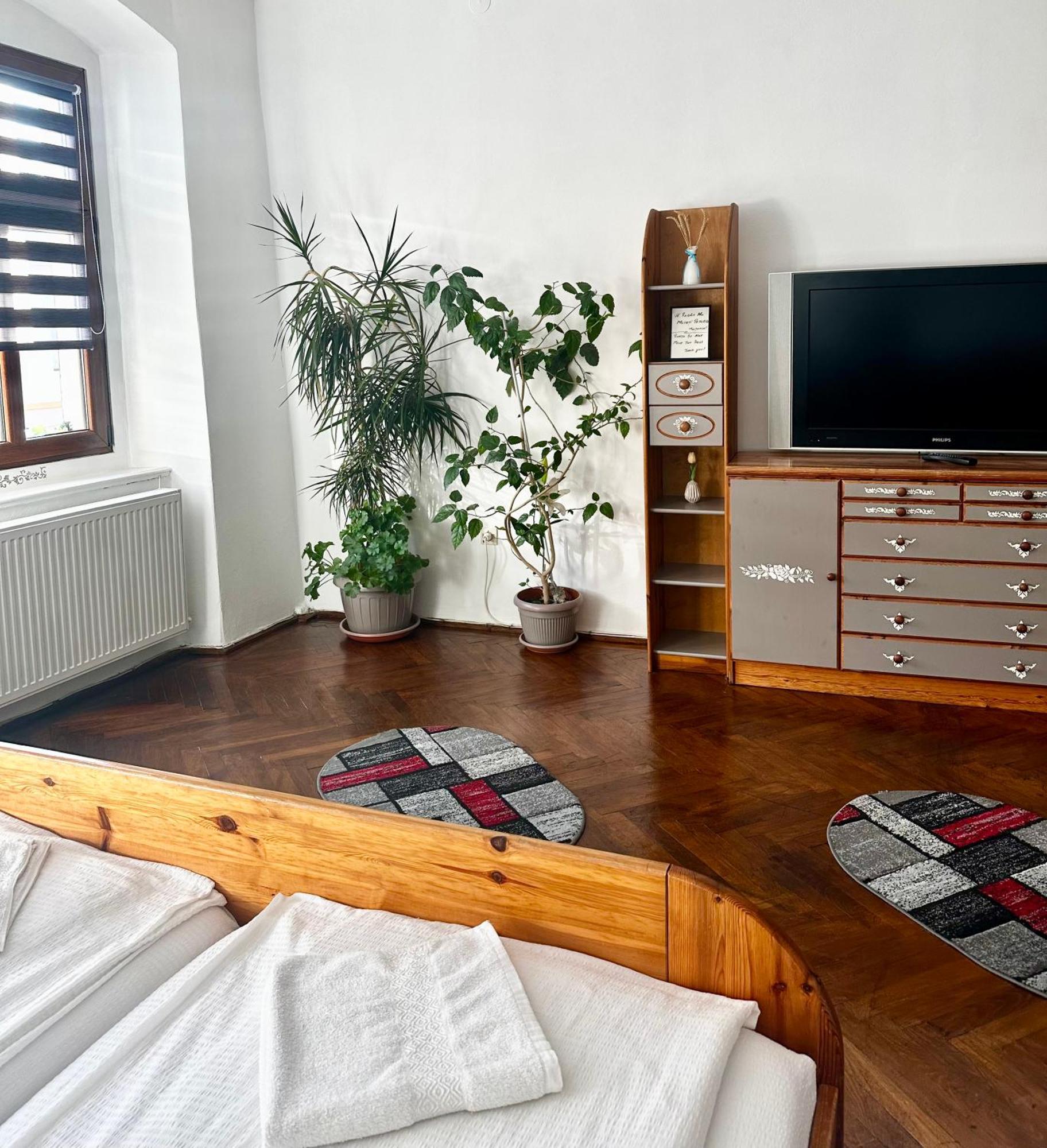 Apartment Studio Apartament Alex Hermannstadt